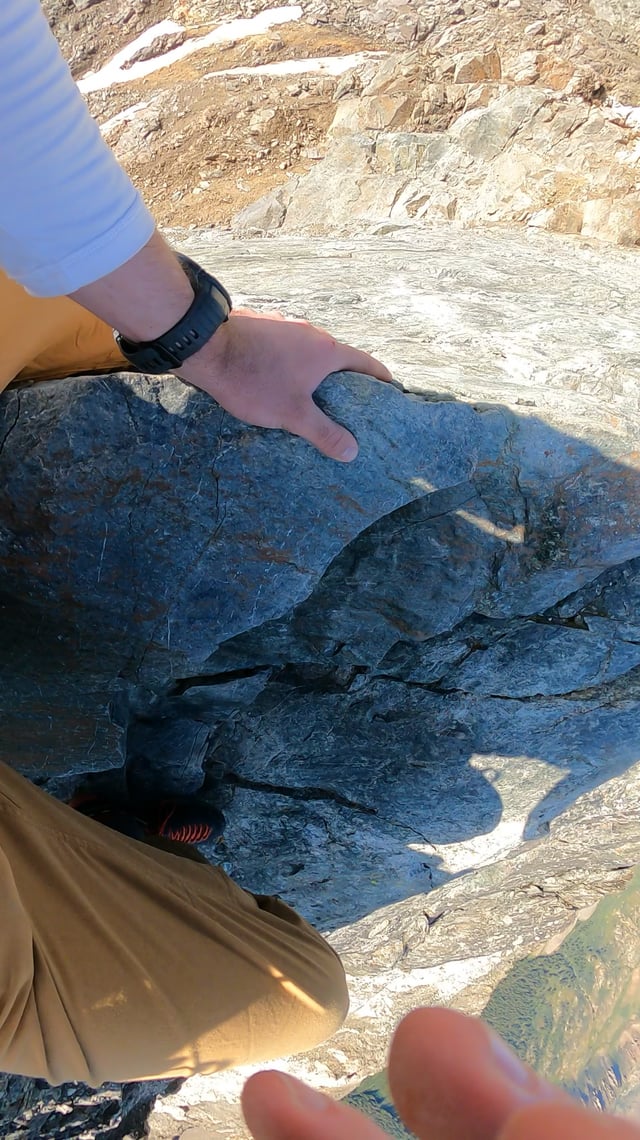 Uncovering The Kelso Difference: A Private Equity Firm's History